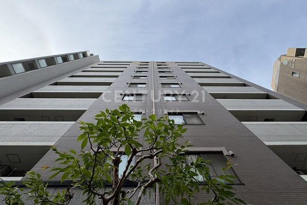 クレッセント麻布II