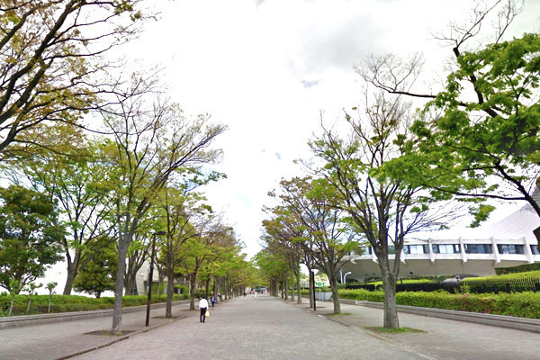 アトラス渋谷公園通り(代々木公園ケヤキ並木)