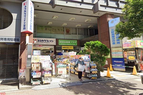 世田谷区三宿２丁目の中古一戸建て(ココカラファイン茶沢通り店)
