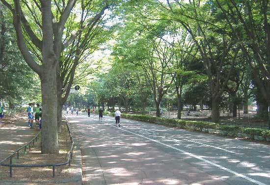 ヴィルヌーブタワー駒沢(駒沢オリンピック公園)
