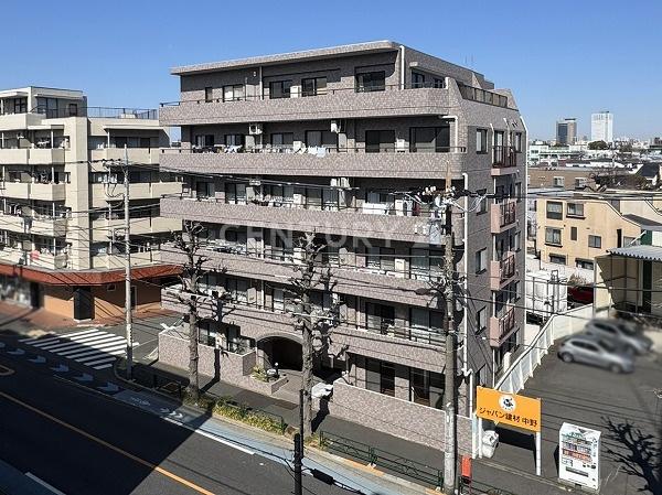 ドムール江古田