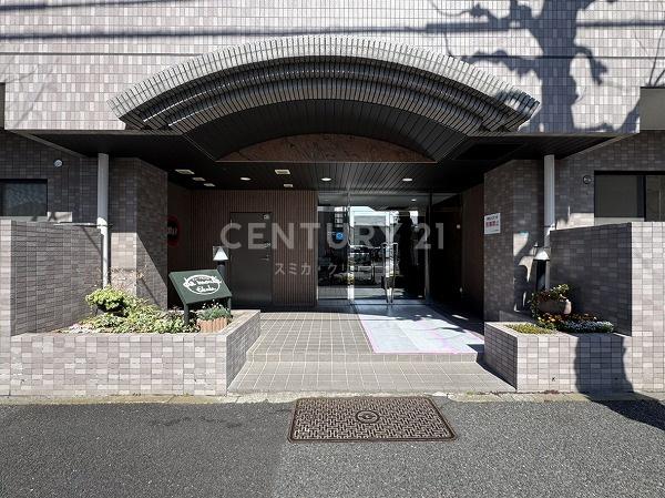 ドムール江古田
