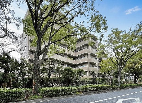 芦花公園プレスティージュ