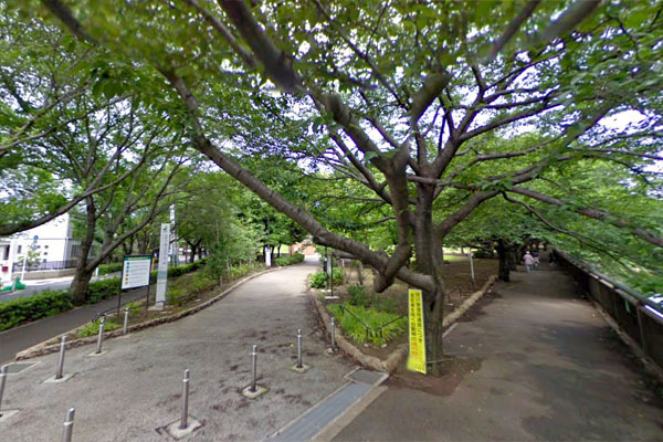 世田谷区成城９丁目の中古一戸建て(祖師谷公園)
