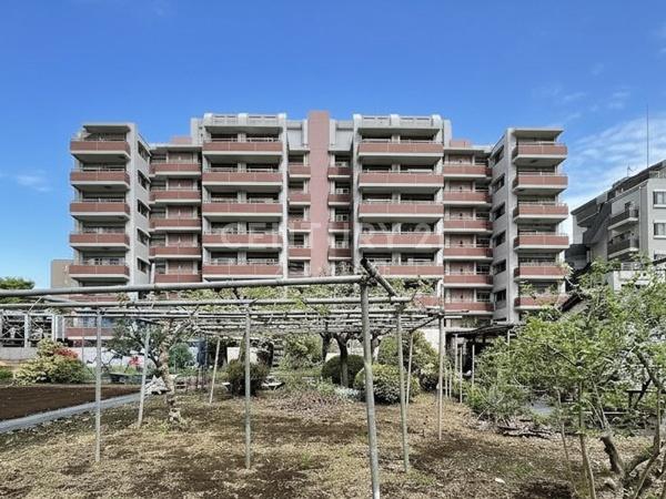 エクストール世田谷千歳