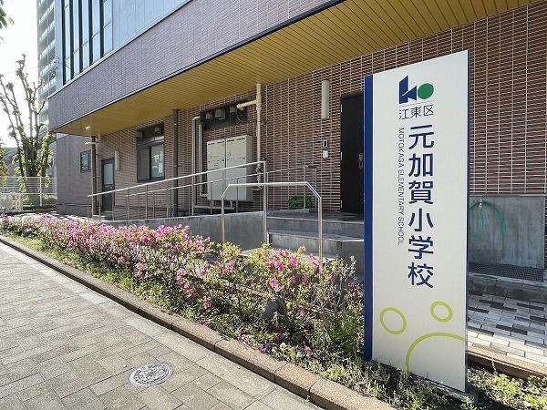 ドラゴンマンション木場公園壱番館(江東区立元加賀小学校)