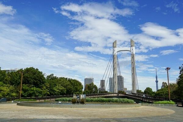 ドラゴンマンション木場公園壱番館(木場公園)