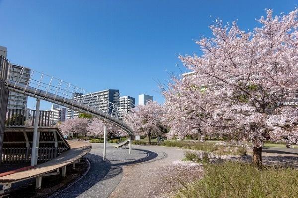 Ｄ’クラディア亀戸ソレーア(大島小松川公園)