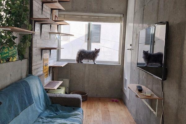 渋谷区恵比寿２丁目の中古一戸建