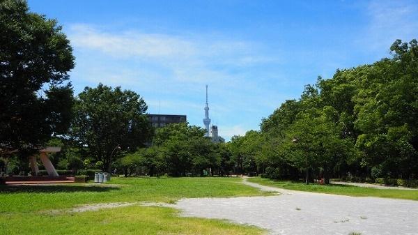 サンシャインハイツ(亀戸中央公園)