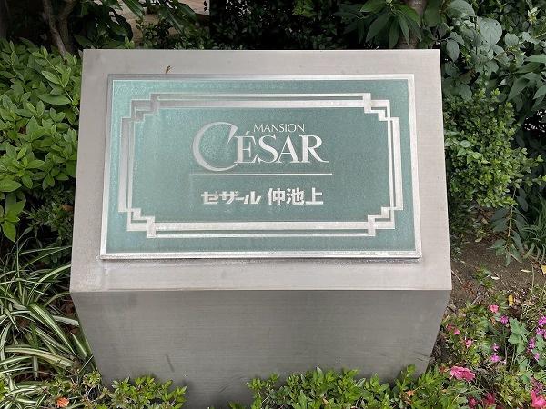 セザール仲池上