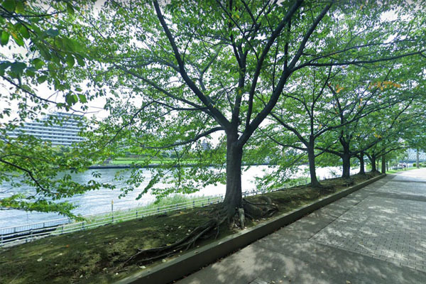 勝どきビュータワー(石川島公園)