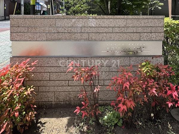 リビオレゾン小石川