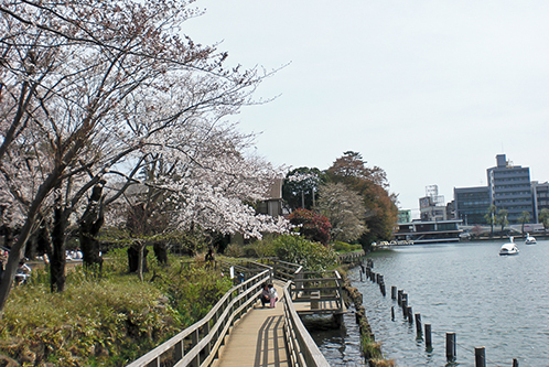 大田区南千束１丁目の土地(洗足池公園)