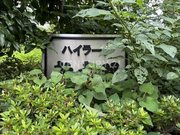 ハイラーク新赤羽