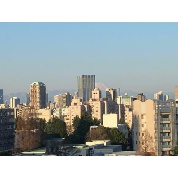 シェフルール文京茗荷谷