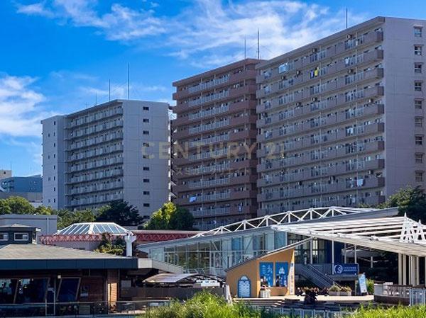 大森パークハイツ