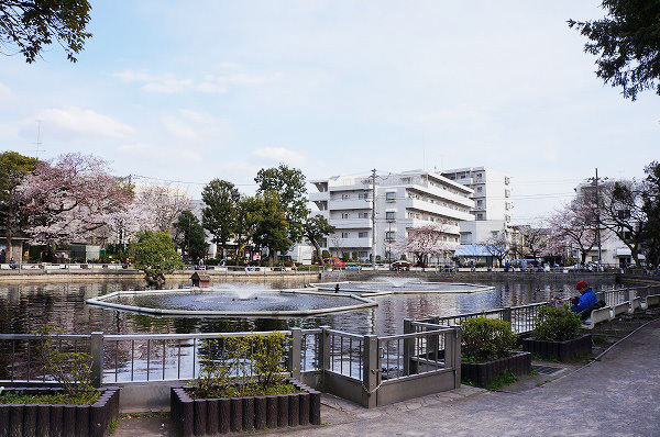 目黒区碑文谷２丁目の中古一戸建て(清水池公園)