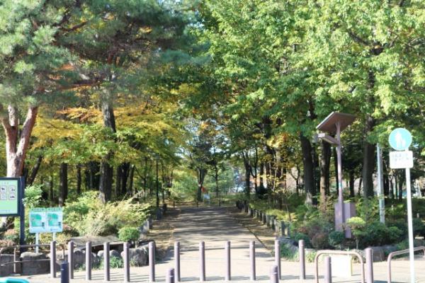 世田谷区上北沢５丁目の中古一戸建て(区立柏の宮公園)