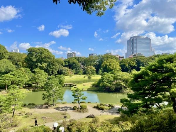 六義園第六コーポ(六義園)