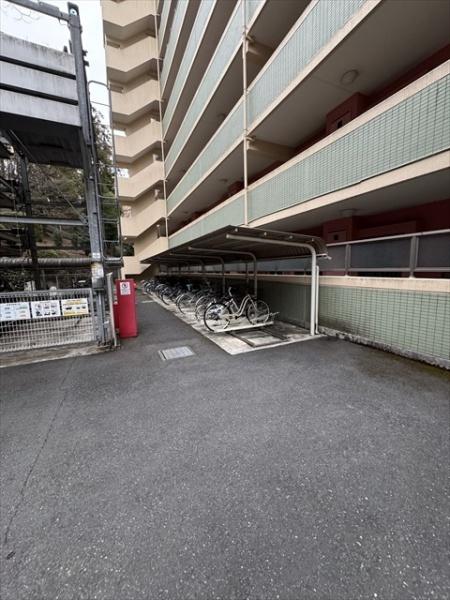 アルシオン河辺