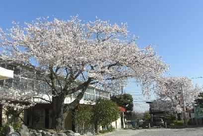 横浜市戸塚区深谷町の土地(横浜市立深谷小学校)