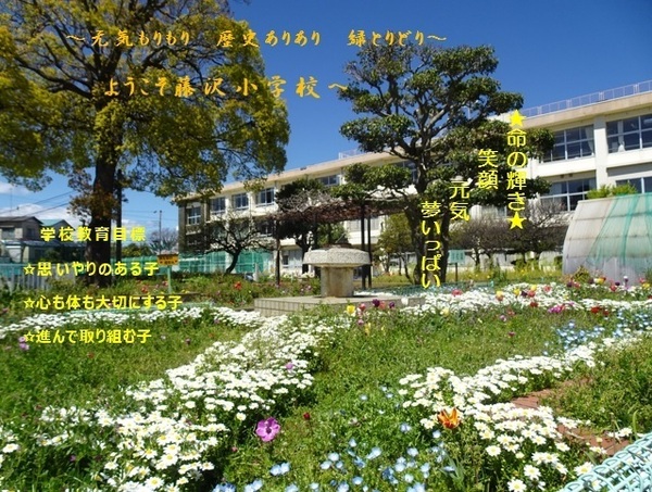 アール・ケープラザ藤沢(藤沢市立藤沢小学校)