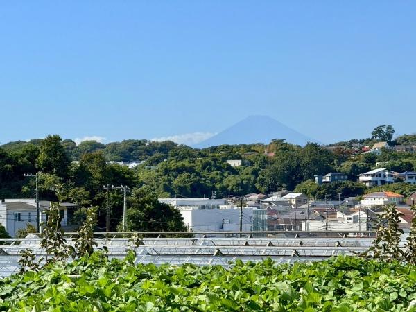 鎌倉市津の土地