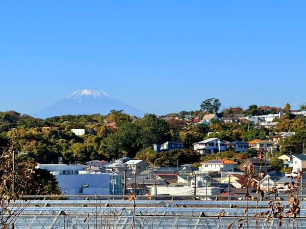 鎌倉市津の土地