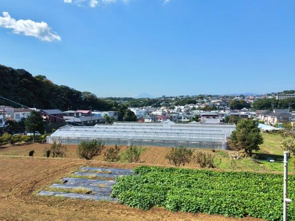 鎌倉市津の土地