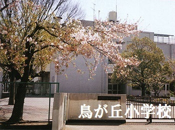 戸塚グリーンヒルＣ棟(横浜市立鳥が丘小学校)