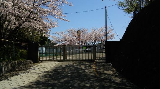 鎌倉市岩瀬の土地(鎌倉市立岩瀬中学校)