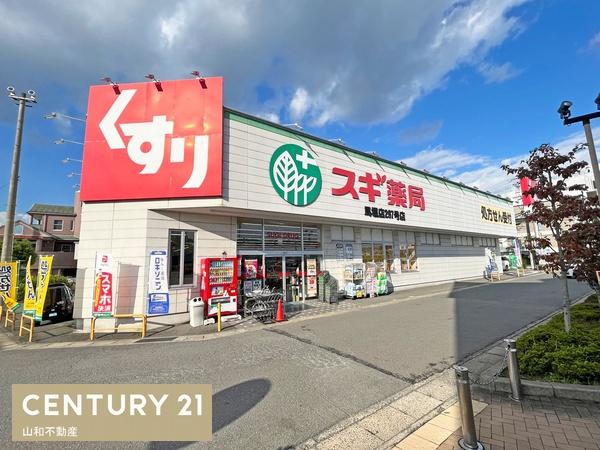 亀岡市篠町野条馬場の土地(スギ薬局馬堀店)