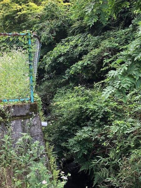 ひえ田野町芦ノ山（売土地）