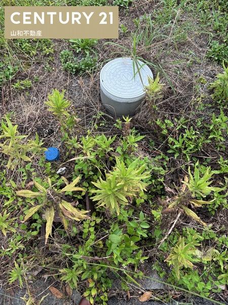 南丹市八木町西田井尻の土地