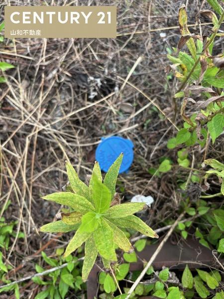 南丹市八木町西田井尻の土地