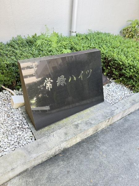 常緑ハイツ