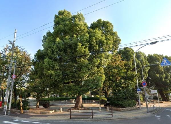 コスモ鶴見緑地弐番館(新森中央公園)