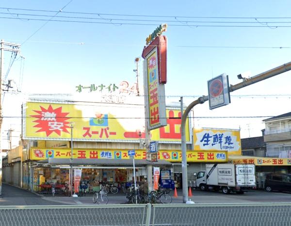 エルグリーンたつみ(スーパー玉出大池店)