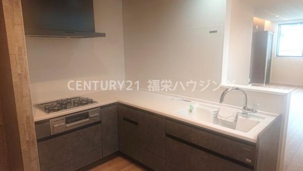 緑3丁目新築戸建て
