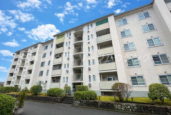 藤阪ハイツＤ６棟　中古マンション
