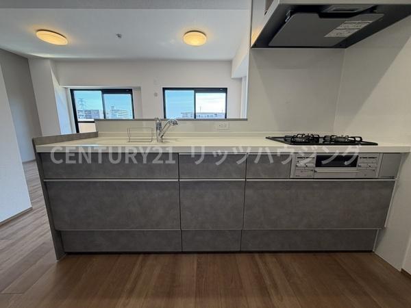 ダイアパレス樟葉　中古マンション