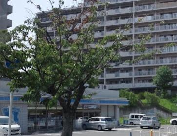 朝日プラザ香里菊ヶ丘Ⅱ　中古マンション(ローソン香里ヶ丘さくら通り店.)