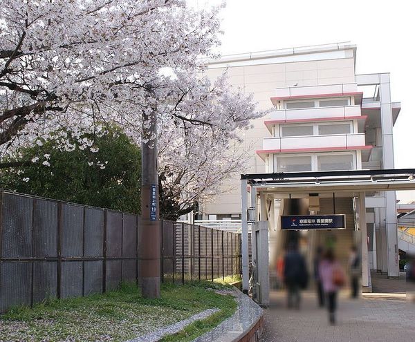 香里園セントポリア　中古マンション(香里園駅(京阪京阪本線))