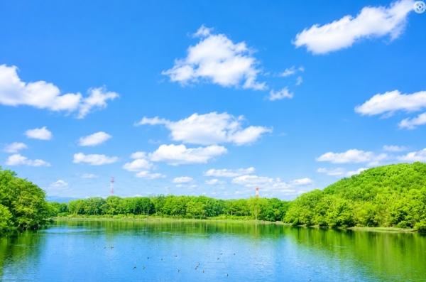 ダイアパレス枚方山田池公園　中古マンション(山田池公園.)