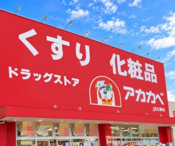 枚方市村野本町の中古一戸建て(ドラッグストアアカカベ桜丘店.)