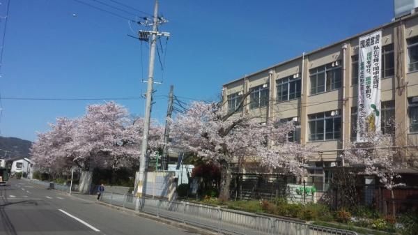 京都市右京区太秦青木ケ原町の中古一戸建て(京都市立蜂ケ岡中学校)