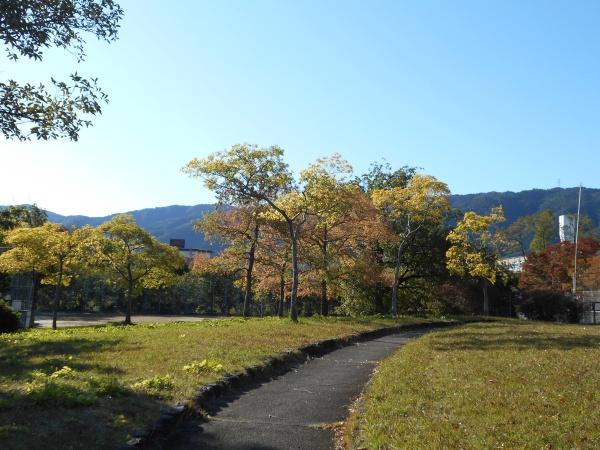 境谷西第2住宅8棟(境谷公園)