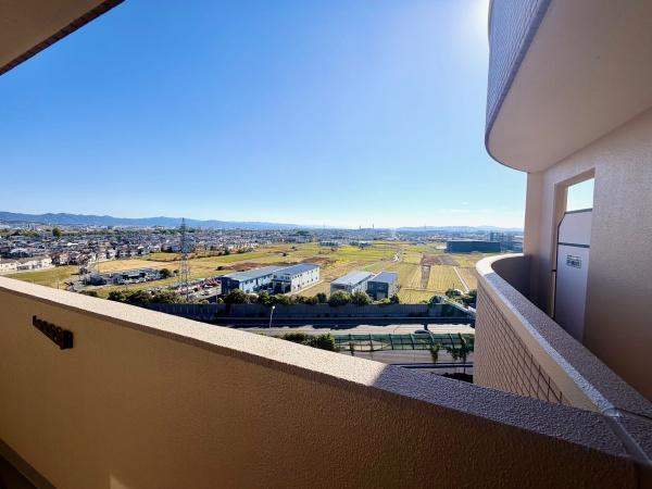 ●全面改装済●朝日プラザ伏見桂川１１階部分