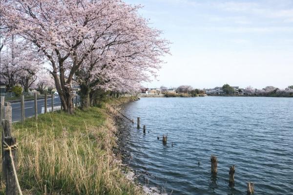 加須市北小浜の土地
